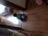 ��10�����ˣ������Ͱְ����׽��..